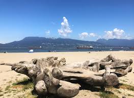 A heat wave consuming huge swaths of north america is set to hit british columbia, bringing humidity will make temperatures in metro vancouver feel as high as 43 c sunday and monday. Short Heatwave Triggers Weather Alert For Vancouver Vancouver Is Awesome