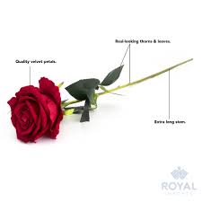 We did not find results for: White Silk Single Long Stem Rose 30in Royal Imports