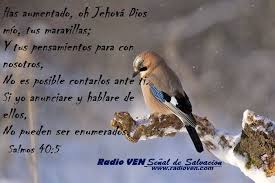 Devocionalesven Has Aumentado Oh Radio Ven Voz Evangelica Nacional Facebook Si yo anunciare y hablare de ellas, no hay tiempo para terminar. facebook