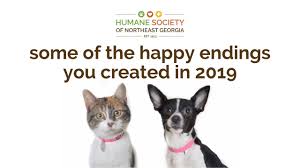 The mission of angels among us pet rescue is rescue one until there are none. the vision of angels among us pet rescue is to end animal suffering and to create a world in which there are no longer unwanted pets. Humane Society Of Hall County Guidestar Profile
