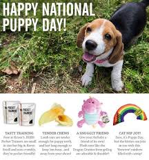 The world needs to see more dog and pup lovers! National Puppy Day March 23 Kriser S