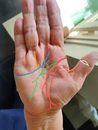 素直な天邪鬼 - はてなブログ