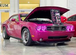 Image result for Furious Fuchsia 2010 Challenger