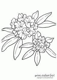 The book does not have a copyright date in it, but appears to have been made around the 1950′s. Rhododendron Flower Print Color Fun