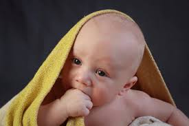 Jessica N Photography