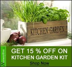 Buy Vegetable And Herb Seeds Online From Nurserylive At Lowest Price Plants Herb Garden Pots Container Gardening Nurserylive provides wide range of natural plants and accessories online in india. pinterest