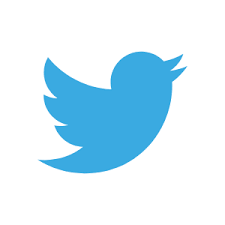 Fichier:Twitter Bird.svg — Wikipédia