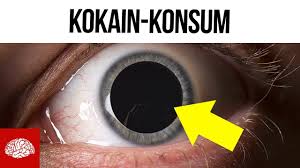 16 tonnen kokain in hamburg entdeckt. Kokain Was Passiert Mit Dem Korper Beim Konsum Youtube