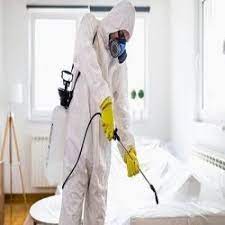 Rodent control service