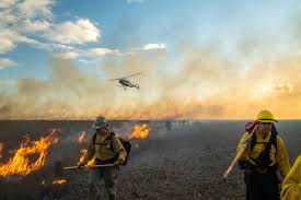 More images for burn it to the ground south park » National Park Service Begins Prescribed Fire Operations Across South Florida Everglades National Park U S National Park Service