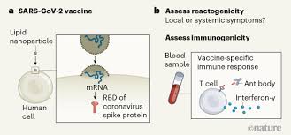In october, some 44 vaccine candidates were in clinical research: All Eyes On A Hurdle Race For A Sars Cov 2 Vaccine