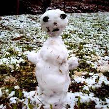 Tenho que superar deixa o vento soprar. Bonecos De Neve Brasileiros Home Facebook