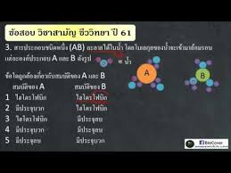 Чаттарика ситтипром / care chattarika sittiprom / ฉัตรฑริกา สิทธิพรม. à¸Š à¸§à¸§ à¸—à¸¢à¸² à¹€à¸‰à¸¥à¸¢ 9 à¸§ à¸Šà¸²à¸ªà¸²à¸¡ à¸à¸› 61 à¸‚ à¸­ 3 à¸ªà¸¡à¸š à¸• à¸‚à¸­à¸‡ Hydrophilic Youtube