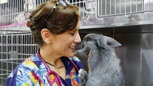 Does your best friend have feathers or scales? Exotic Pets Archives Veterinary Practice News