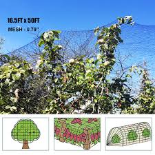 It is lightweight plastic netting that protects the fruit, but also allows light and air to get to the tree. Bird Netting Protect Plants And Fruit Trees Extra Strong Garden Net Is Easy To Use Doesn T Tangle And Reusable Lasting Protection 16 5ft X 50ft Buy Online In Bahamas At Bahamas Desertcart Com