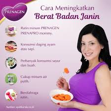 Check spelling or type a new query. Prenagenworld Auf Twitter Selain Mempersiapkan Proses Persalinan Dengan Baik Kamu Juga Perlu Memerhatikan Berat Janin Dalam Kandungan Bu Sebab Berat Janin Yang Rendah Sangat Rentan Terhadap Berbagai Penyakit Nantinya Untuk Dapat Meningkatkan