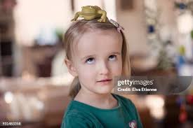 105 Toad Standing Stock Photos, High-Res Pictures, and Images