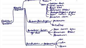 Encik mohd taufik a.malek  disediakan oleh : Biologi Bab 9 Bahagian 1 Pengenalan Kepada Ekosistem Terancam Spm Tingkatan 4 Youtube