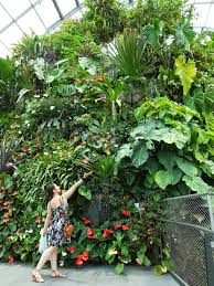 Najděte stock snímky na téma cactus gardens by bay singapore v hd a miliony dalších stock fotografií, ilustrací a vektorů bez autorských poplatků ve sbírce shutterstock. The Gardens By The Bay Singapore Breaking Barriers World Travelers