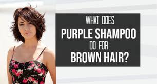 The regular ones that just have purple shades will only give. What Does Purple Shampoo Do To Brown Hair For Real