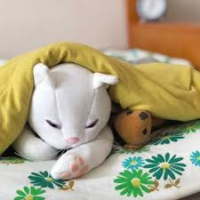 saiyo akishima saiyo akishima123 instagram写真と動画 travel pillow pillows travel