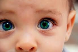 Blue Green Eyes Cuties Baby Eyes Cool Eyes Beautiful Eyes