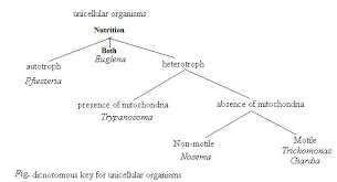 Solved Using The Following Information Create A