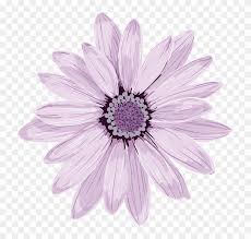 Lilac flower drawing tattoo watercolor painting, purple flowers, purple petaled flowers, violet, hand, branch png. Lilac Flower Cliparts Light Purple Flower Transparent Free Transparent Png Clipart Images Download