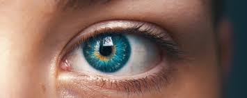 Check spelling or type a new query. 8 Powerful Yoga Exercise For Your Eyes Yoga For Eyes The Art Of Living India