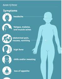 Image result for Q Fever