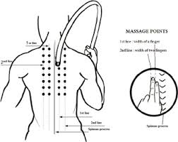 The back extensor muscle group contains the longissimus, iliocostalis, and spinalis. The Meridian Massage Lines Of Ttm On The Upper Back 9 Download Scientific Diagram