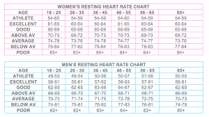 Heart Rate Averages By Age Heart Rate Zones