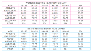 heart rate averages by age heart rate zones