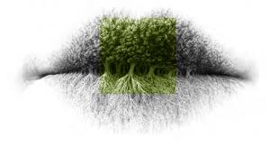 You may be a virgo/libra cusp, a unique blend of the two signs with its own set of personality traits and aspects. Unique Personality Traits Of A Person Born On The Virgo Libra Cusp My True Care