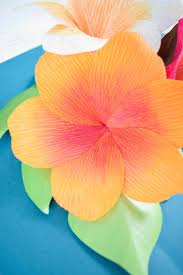 Cut a 6 x 2 strip from crepe paper and fold in half lengthwise. Pin On Paper Crafts