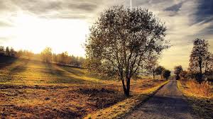 One of the best high quality wallpapers site! Country Wallpapers Group 86