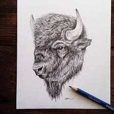Pencil Sketching Today Bison Art Bison Art Buffalo Art Eagle Art