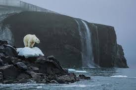 Ada 5 Dampak Global Warming Yang Sudah Terjadi Dan 6 Dampak Susulan Yang Siap Mengancam Hai