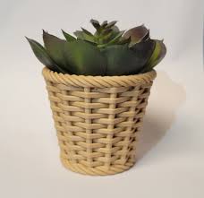 3D Printed Wicker Succulent Planter