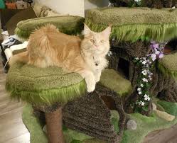 The overall size of the cozy cat furniture enchanted forest cat house is 75 h x 23 w x 23 d. Realistic Cat Tree By The Hollywood Kitty Company