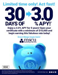 3 0 For 30 Days Credit Union Mutual Credits