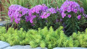 The Glory Of Gardening Hands In The Dirt Head In The Sun Heart With Nature To Nurture A Garden Is To Feed Not Just Greenhouse Growing Flower Photos Garden