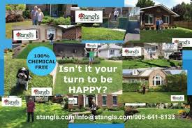Check spelling or type a new query. Safe Lawn Process Natural Solution Stangl S Enviro Lawn Care