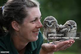 42 Laura Burrows Stock Photos, High-Res Pictures, and Images