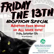 The adoption gallery includes all animals available for adoption, as well as pets on a stray hold that may not be available for adoption. 10 Adoption Promotions Ideas Adoption Pet Adoption Animal Shelter