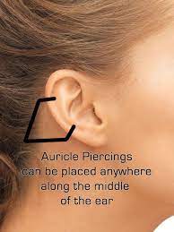 Auricle Ear Piercing Ear Piercings Ear Piercing