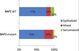 Check spelling or type a new query. Https Core Ac Uk Download Pdf 82680823 Pdf