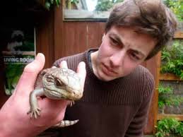 Wellington High School 2013