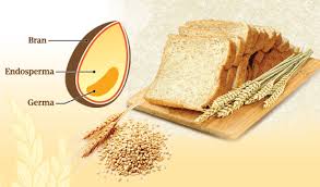 The gardenia wholemeal wraps contain a good source of dietary fibre and provide handy and nutritious meal solutions which the whole family can enjoy. Germa Gandum Harus Dimasukkan Dalam Diet Harian