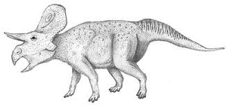 All dinosaurs are accurate in name and . Dino Directory Name A Z Dinosaurs Beginning With The Letter Z Natural History Museum